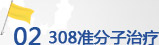 308׼��������